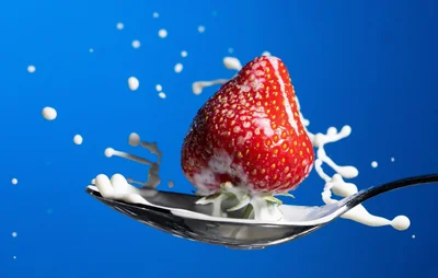 Idées de repas équilibrés pour toute la semaine : planifiez vos menus 2026 !