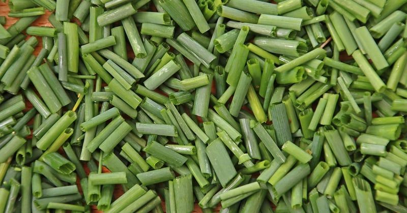 Quels accessoires pour couper des herbes fines sans les abîmer