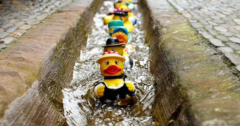 Cuisse de canard au four moelleuse : le secret, c'est la peau sèche