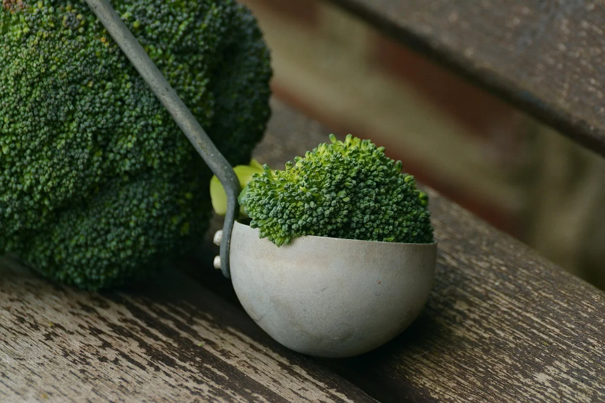 Cuisiner des légumes de saison facilement : astuces incontournables pour 2026